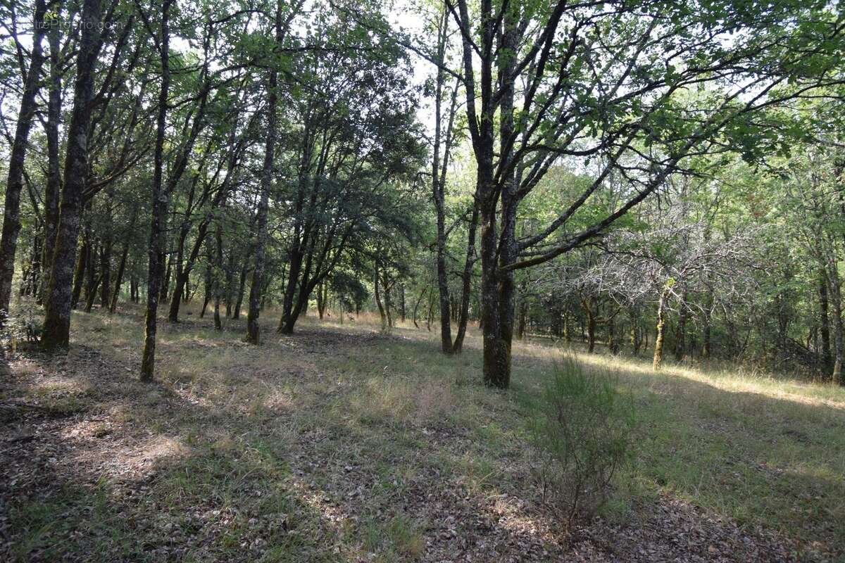 Belle Propriété à vendre 5 pièces VERS (46) - photo 21