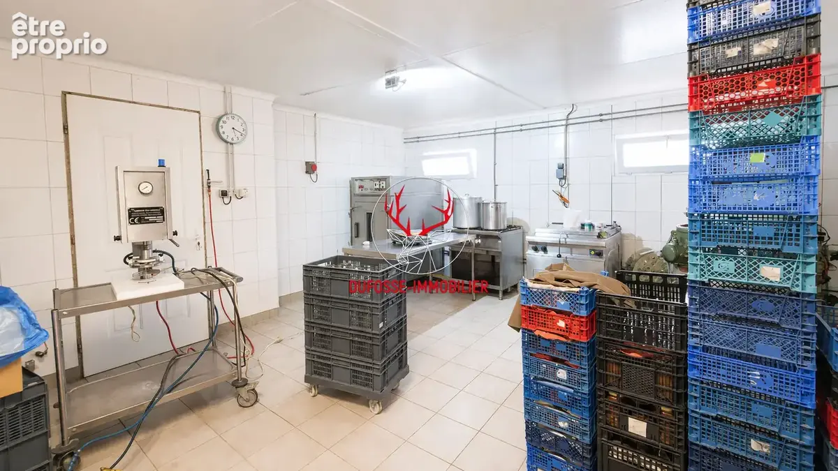 Saint-bonnet-en-bresse - ancienne diligence 240m² - 1,5 hectares - dependances - photo 18