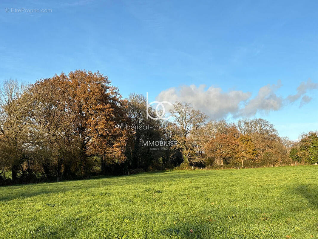 Terrain à BERRIC