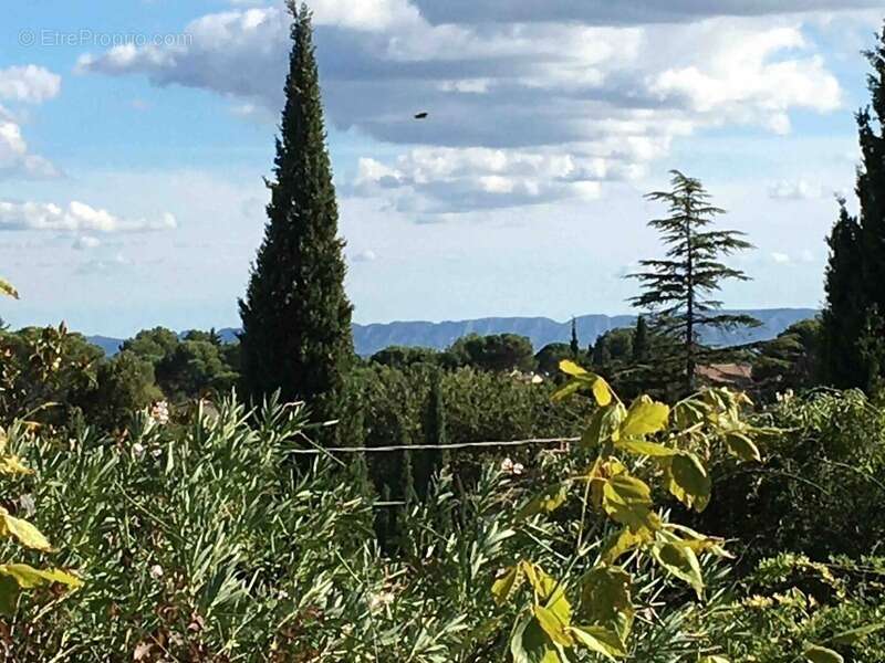 Maison à VILLENEUVE-LES-AVIGNON