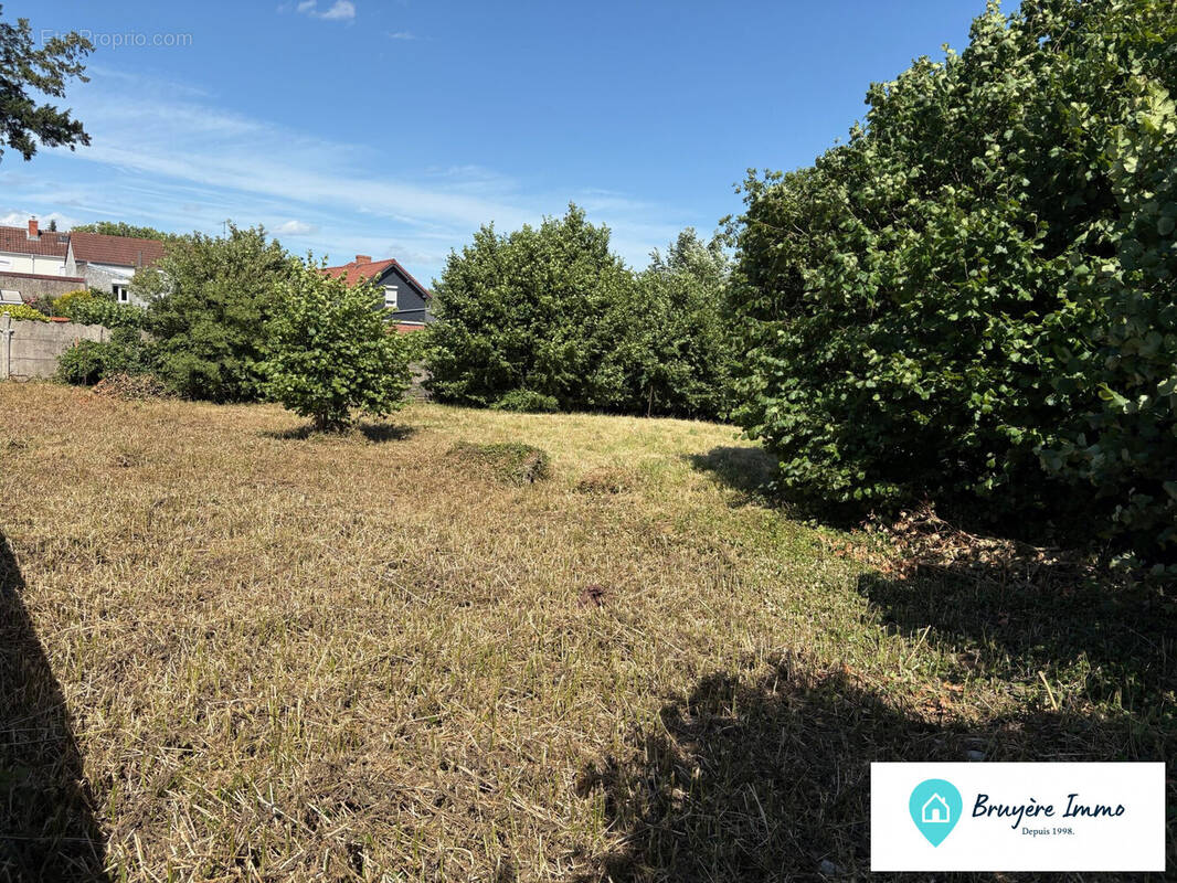 Terrain à BERLAIMONT