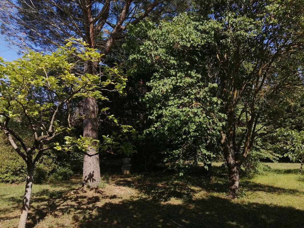 A vendre villa piscine sur terrain de 6000m2       limoux - photo 14