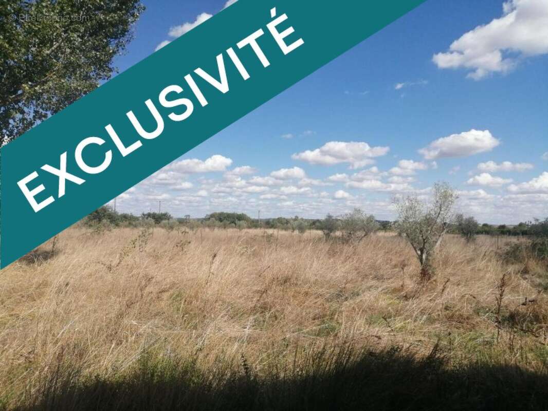 Photo 6 - Terrain à VILLEMUR-SUR-TARN