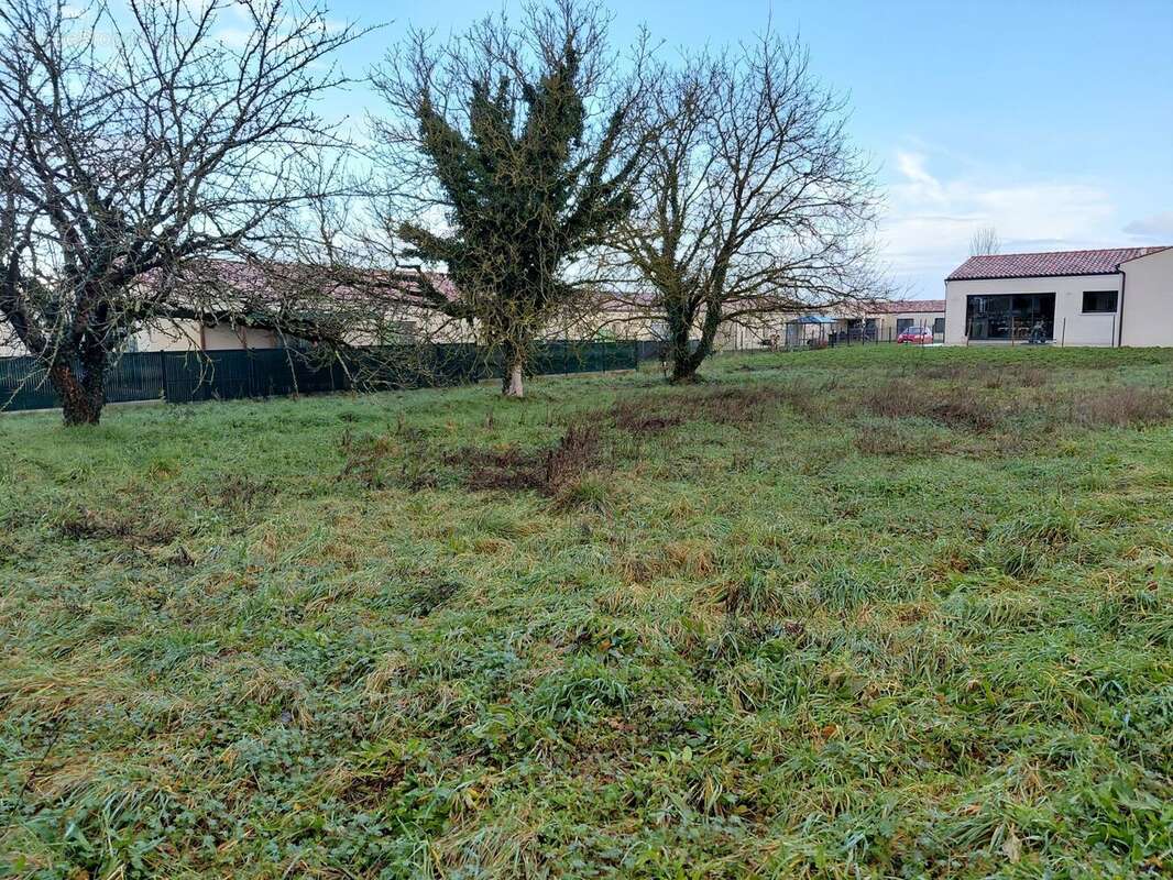 Terrain à SAINT-PORCHAIRE