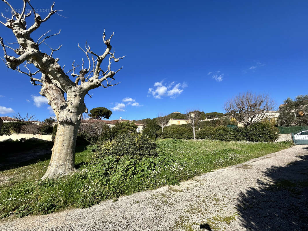 Terrain à MARSEILLE-13E