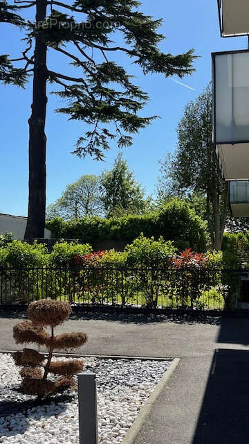 Appartement à BOIS-GUILLAUME