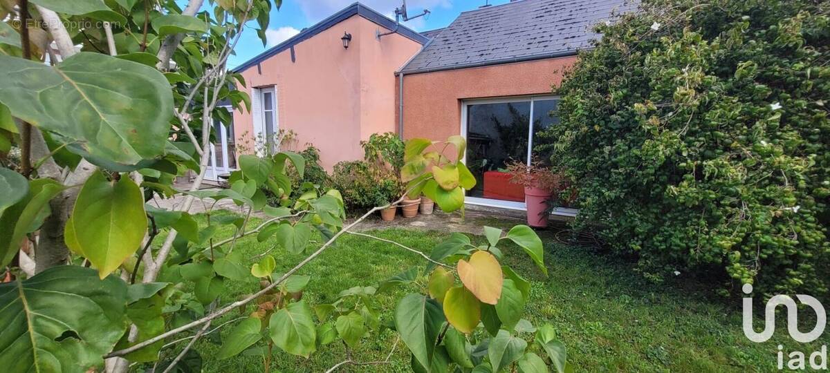 Photo 1 - Maison à ORLEANS