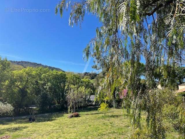 Terrain à CLERMONT-L'HERAULT