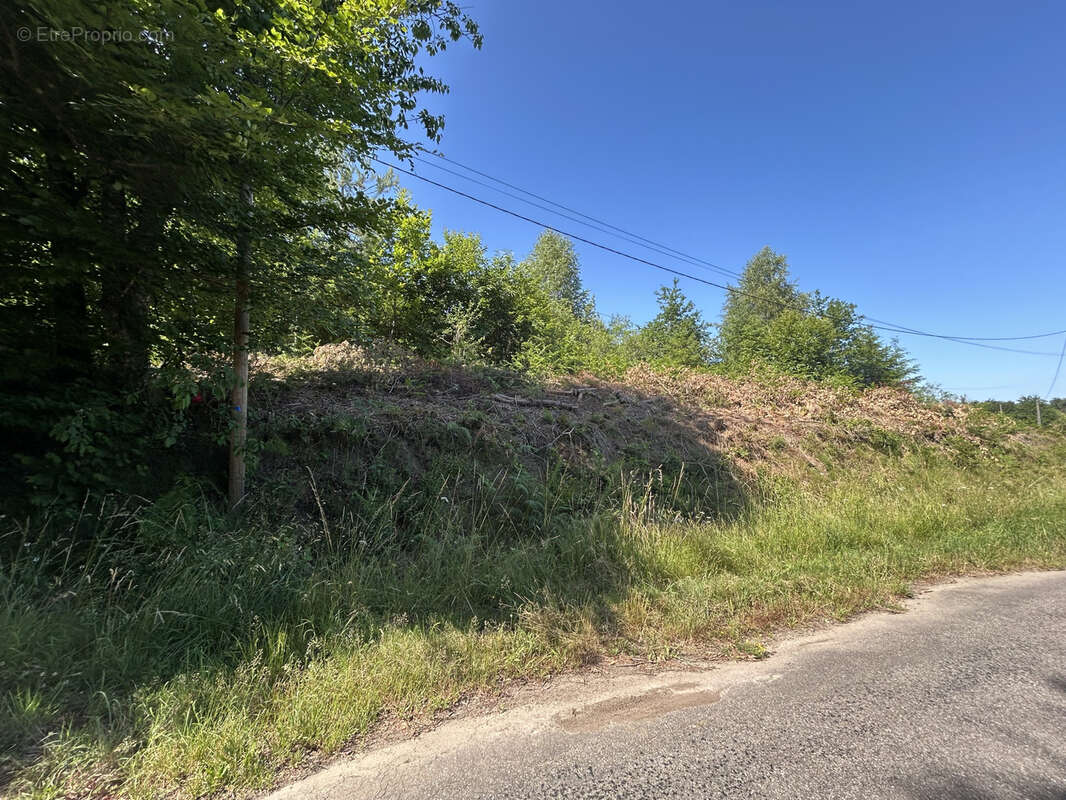 Terrain à GIMEL-LES-CASCADES