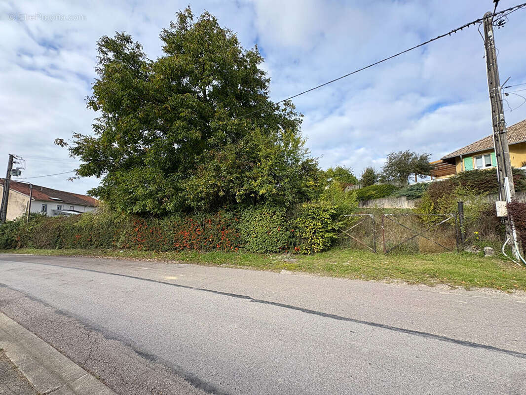 Terrain à MARANGE-ZONDRANGE