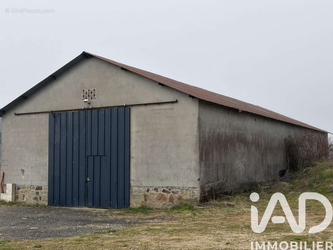 Photo 6 - Terrain à RIEUPEYROUX