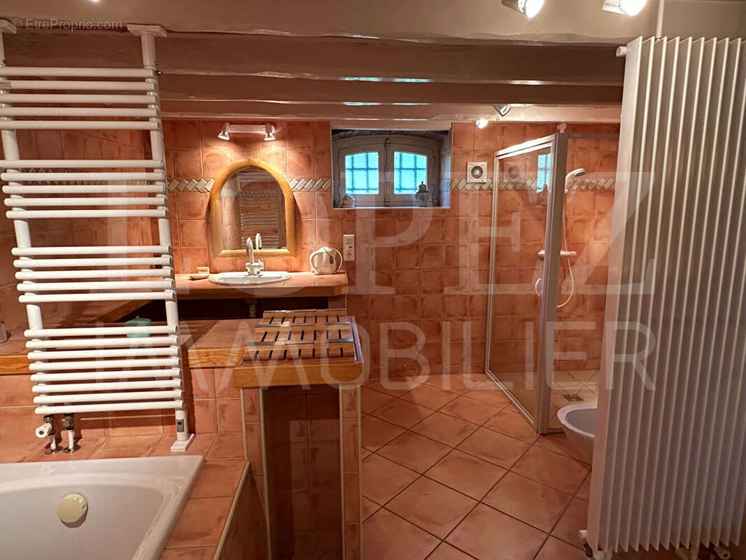 Maison à SAINT-AMANS-SOULT