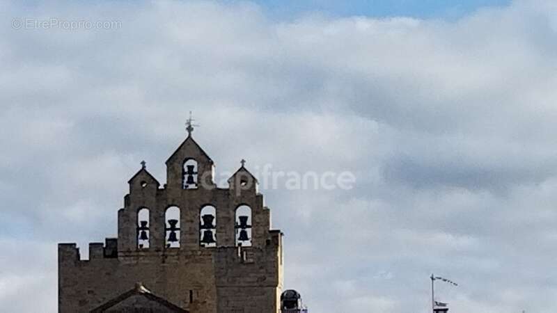 Commerce à SAINTES-MARIES-DE-LA-MER
