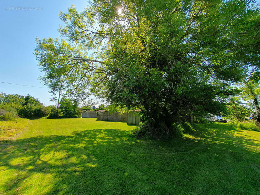 Terrain à FOUESNANT