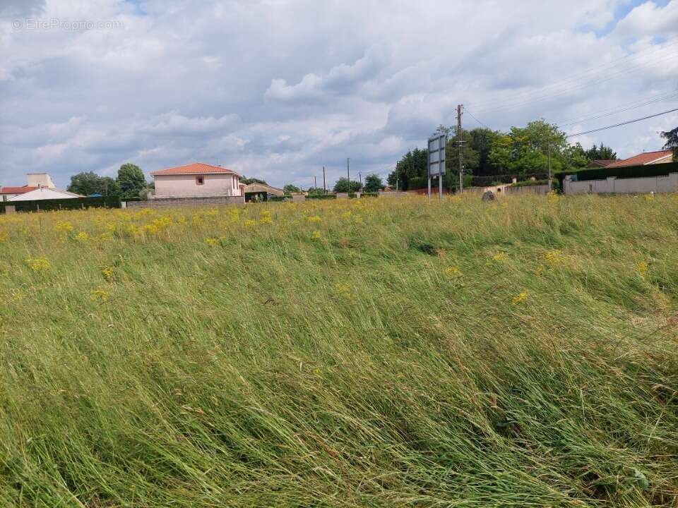 Terrain à SAINT-NAUPHARY