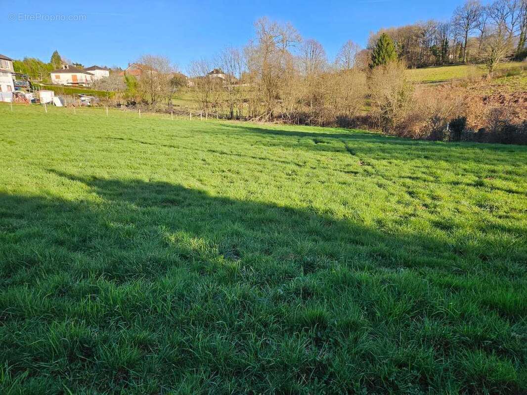 Terrain 2217 m² à Masleon  - photo 44