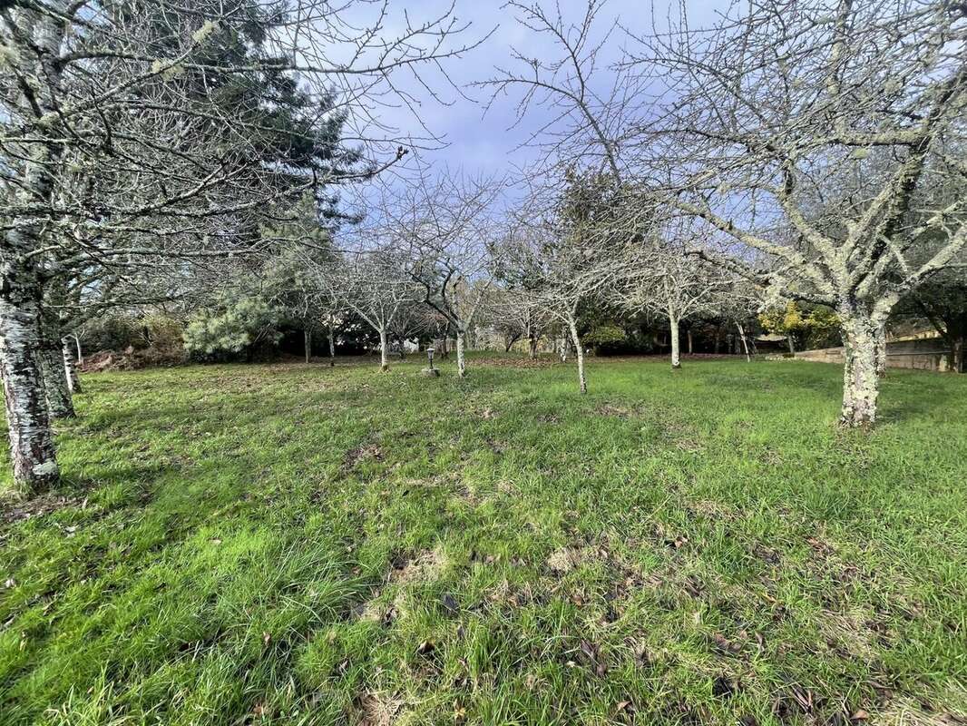 grand verger - Maison à CHANCELADE