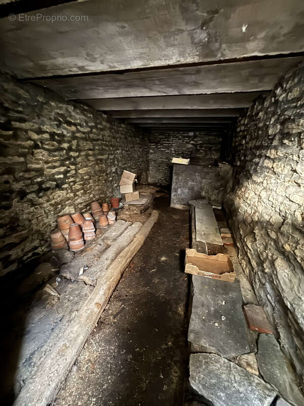 CHATILLON SUR SEINE  (21) maison R + 1 au centre ville , 90M2 avec terrain de 200m2 -atelier -caves - photo 19