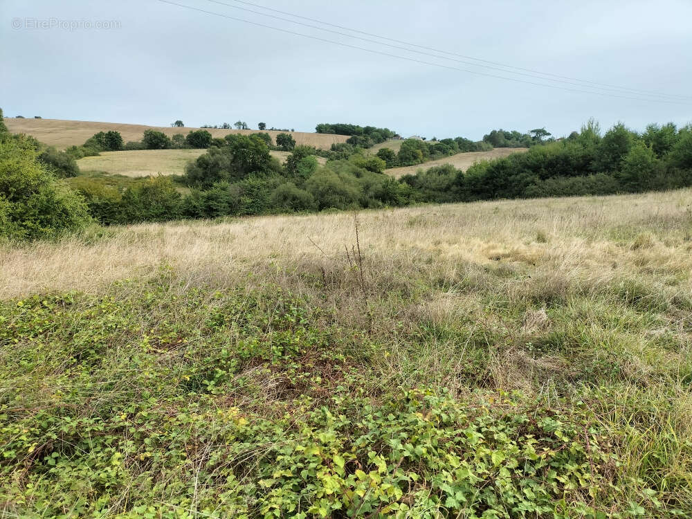 Terrain à MARGOUET-MEYMES