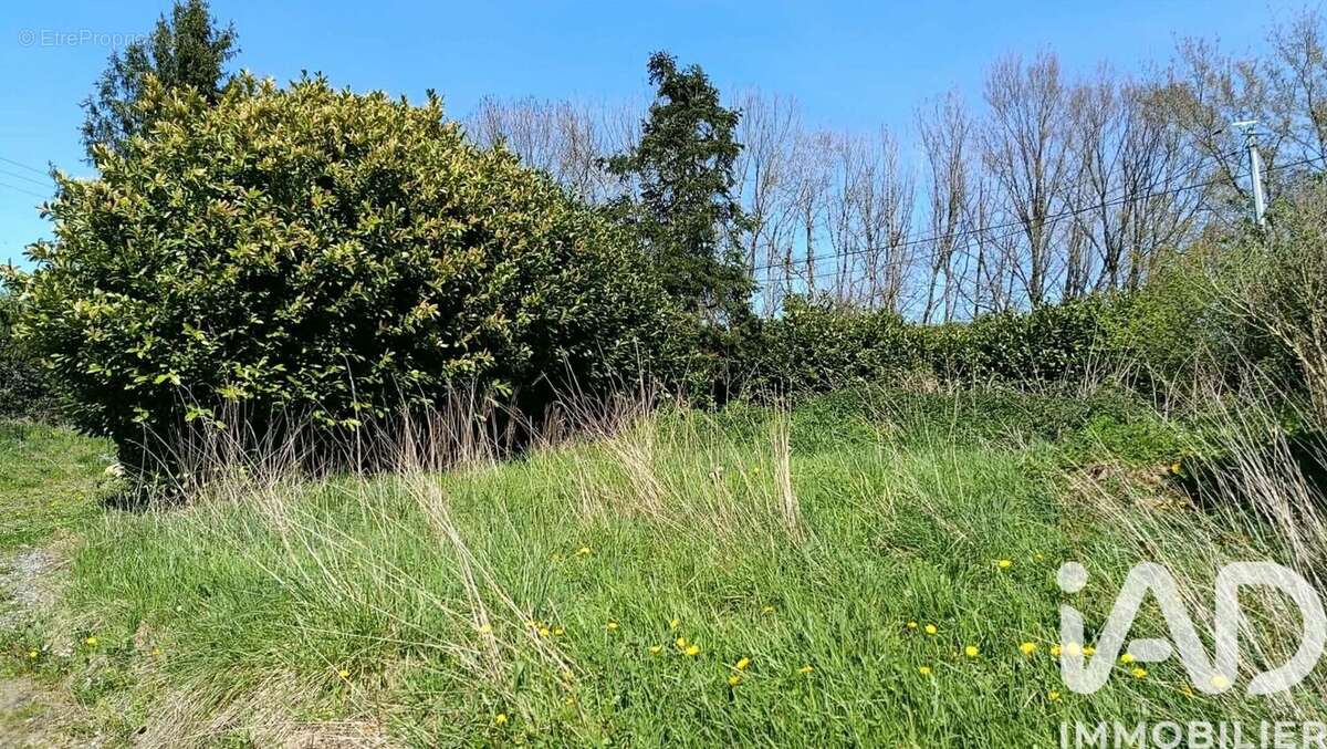 Photo 2 - Terrain à TOURNAY