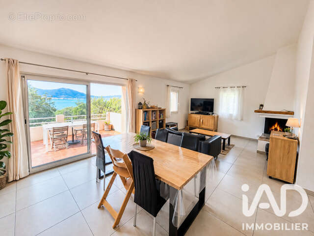 Photo 3 - Maison à PIETROSELLA