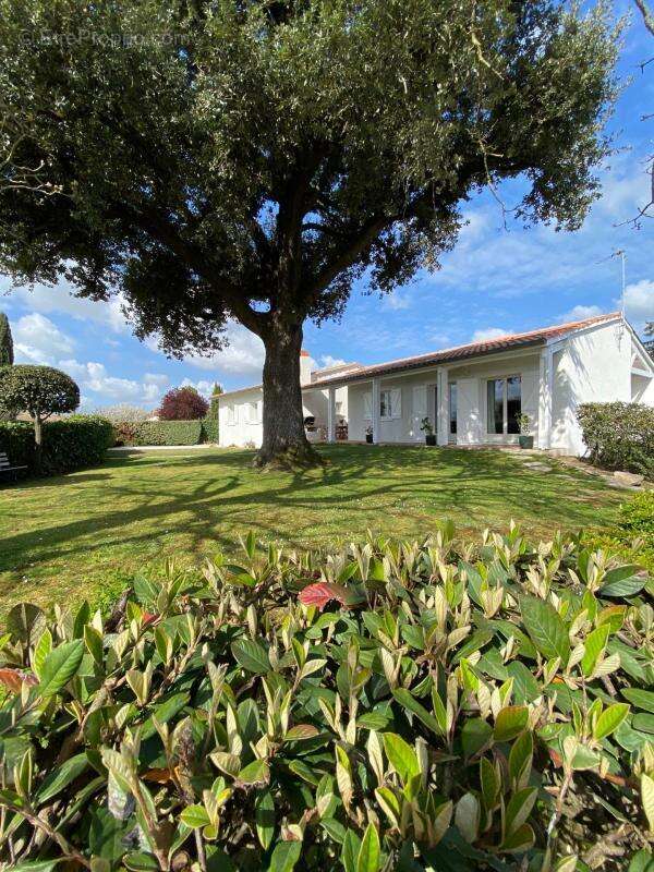 Maison à QUINT-FONSEGRIVES