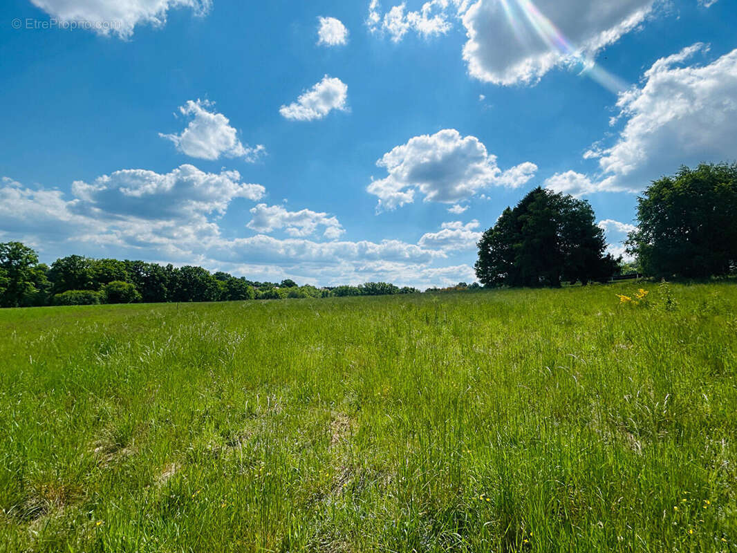 Terrain à SAULCY-SUR-MEURTHE