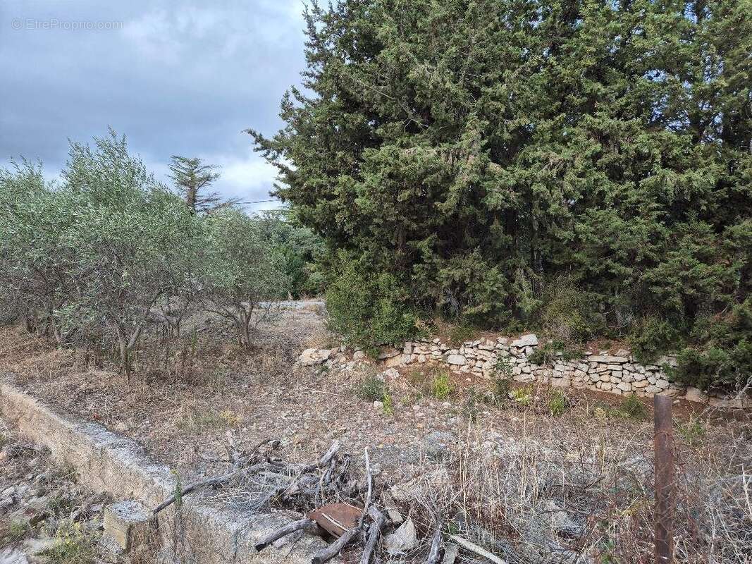 Terrain à SAINT-CHINIAN