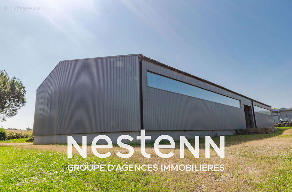 Commerce à PAMPELONNE