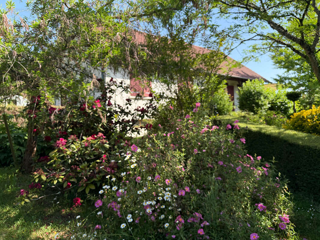 Maison à SAINT-SAULGE