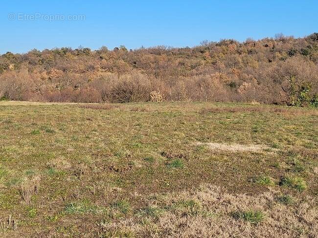 Terrain à VILLELONGUE-DELS-MONTS