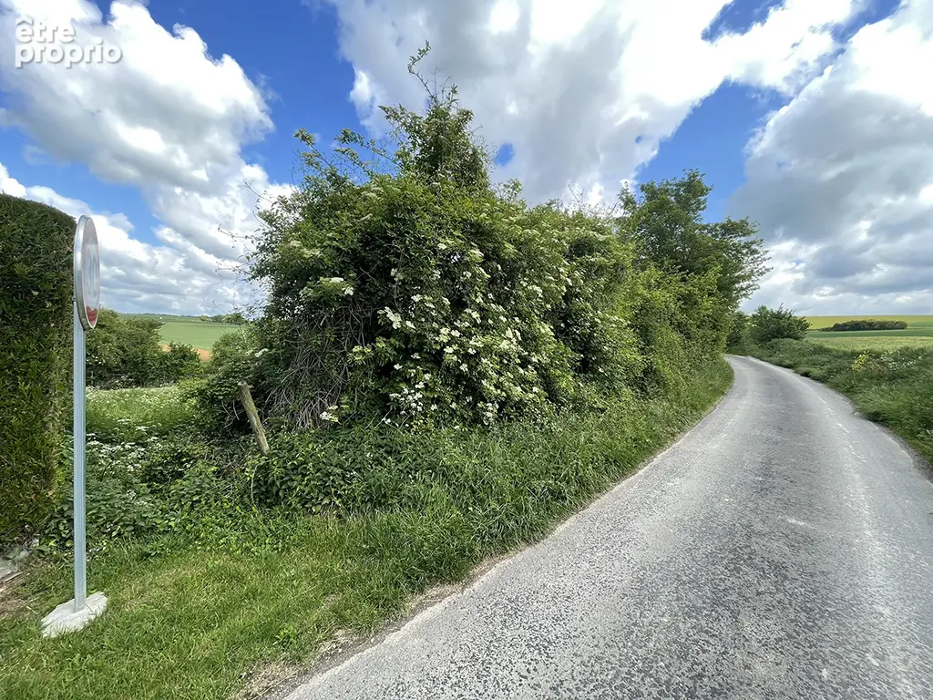 Terrain Montreuil Sur Breche - photo 3