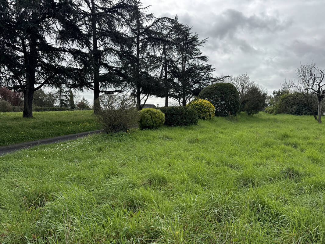 Terrain à LA ROUXIERE