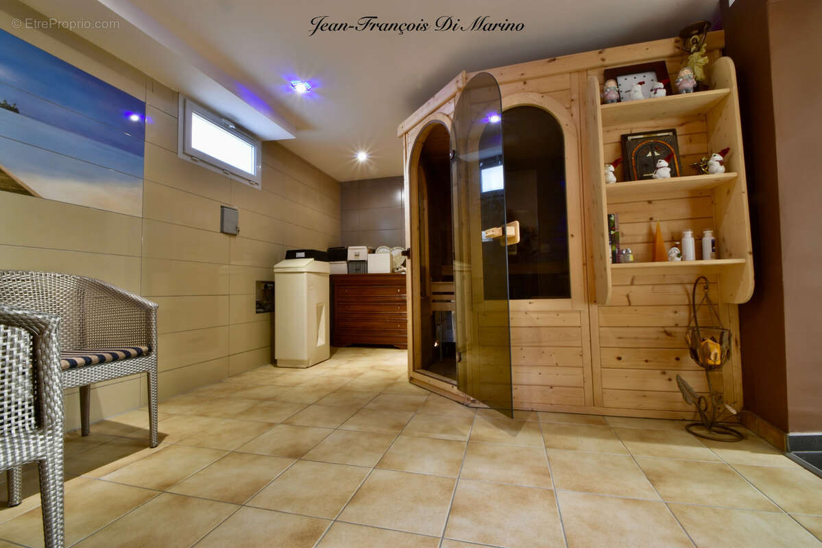 Maison à vendre 11 pièces LULLY (74) - photo 36