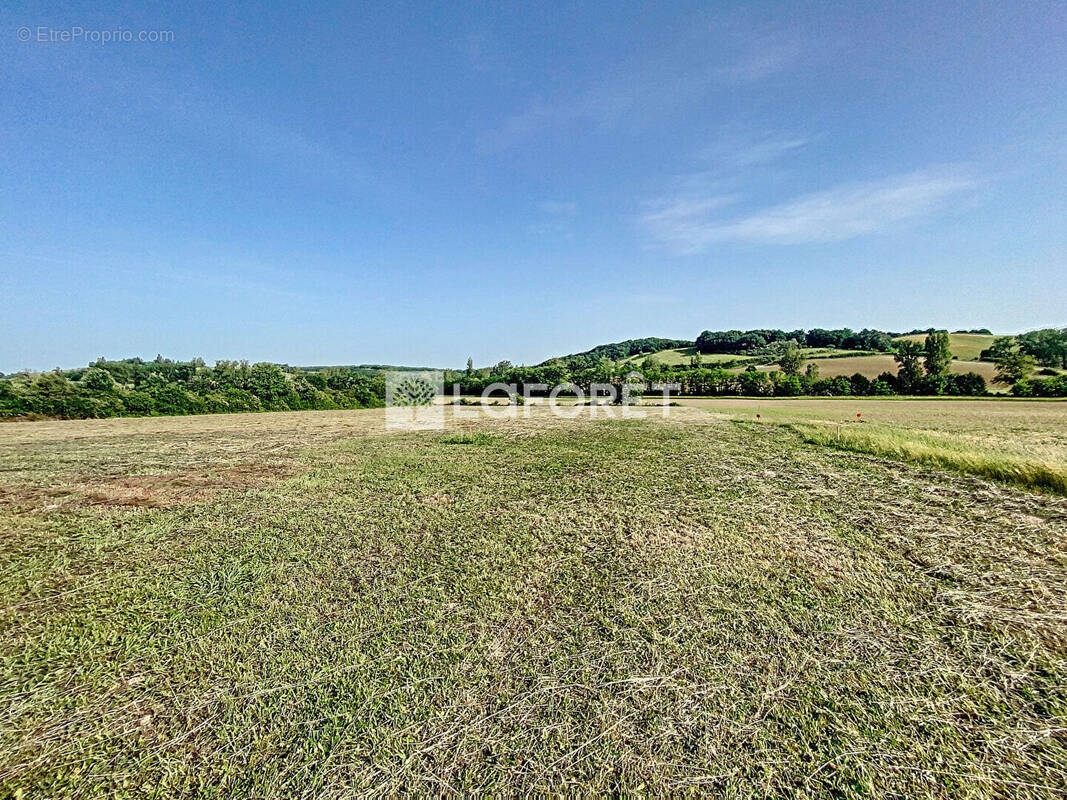 Terrain à MONTDURAUSSE