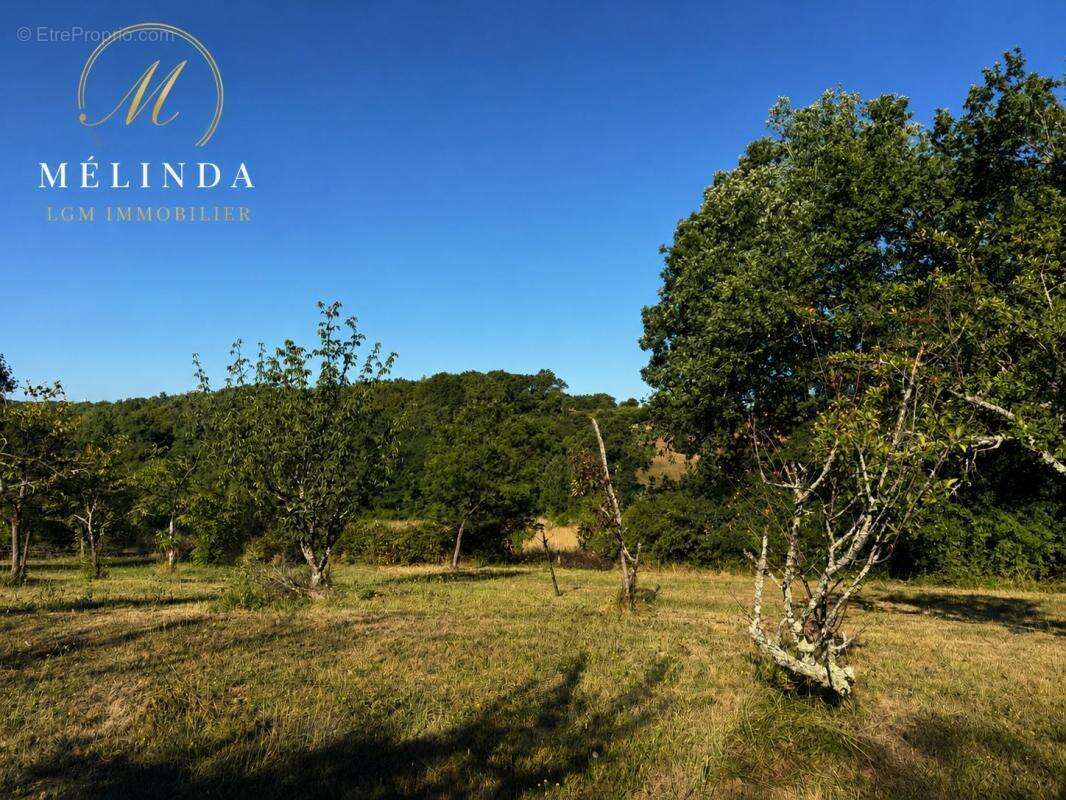 Terrain d'exception de 1 784 m² avec vue panoramique – Saint-Genès-de-Lombaud - photo 2