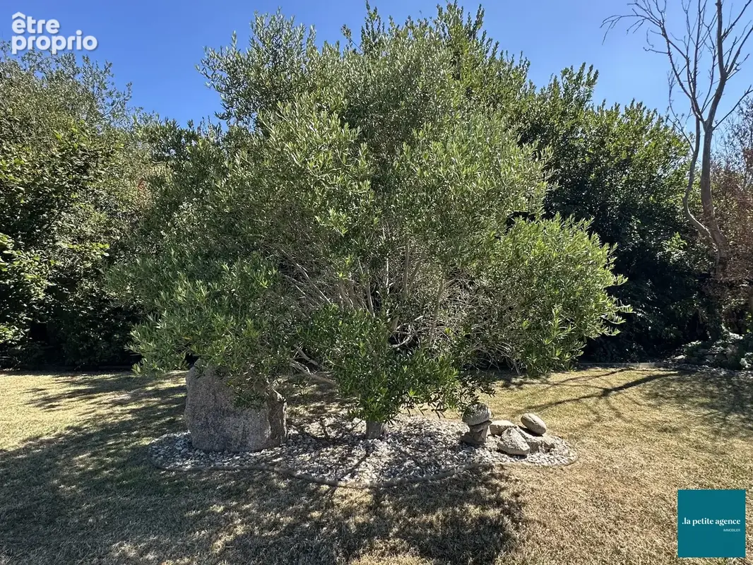 Maison 136 m² à Neville-Sur-Mer  - photo 6