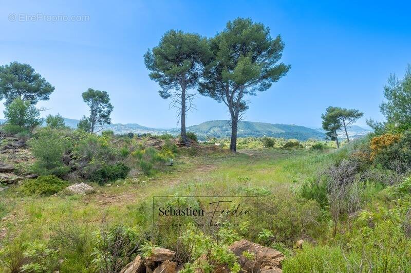 Terrain à LE BEAUSSET