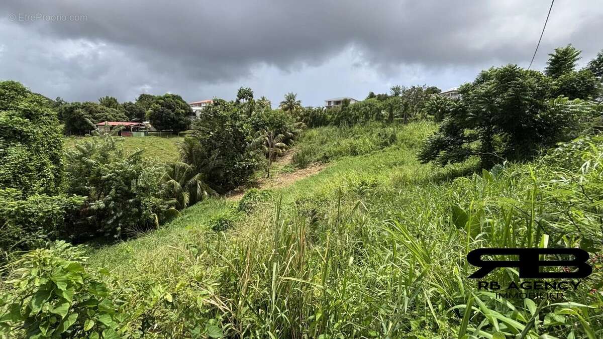 Terrain à RIVIERE-SALEE