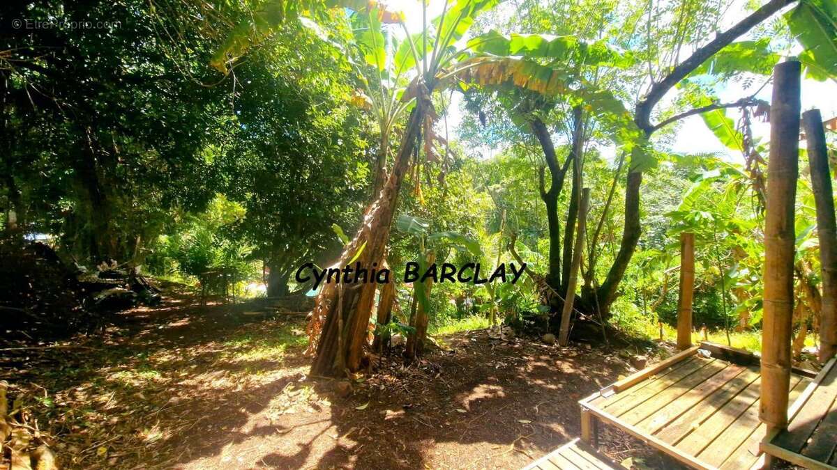 Terrain à FORT-DE-FRANCE