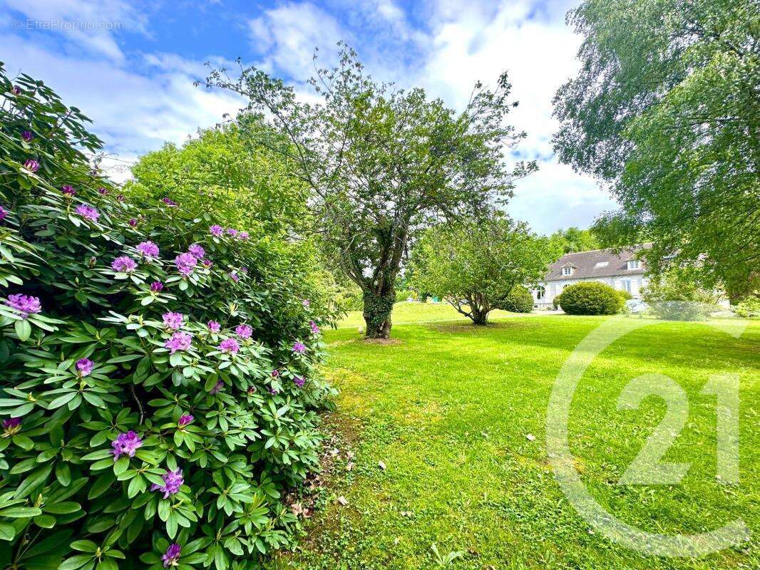 Propriété - photo 8