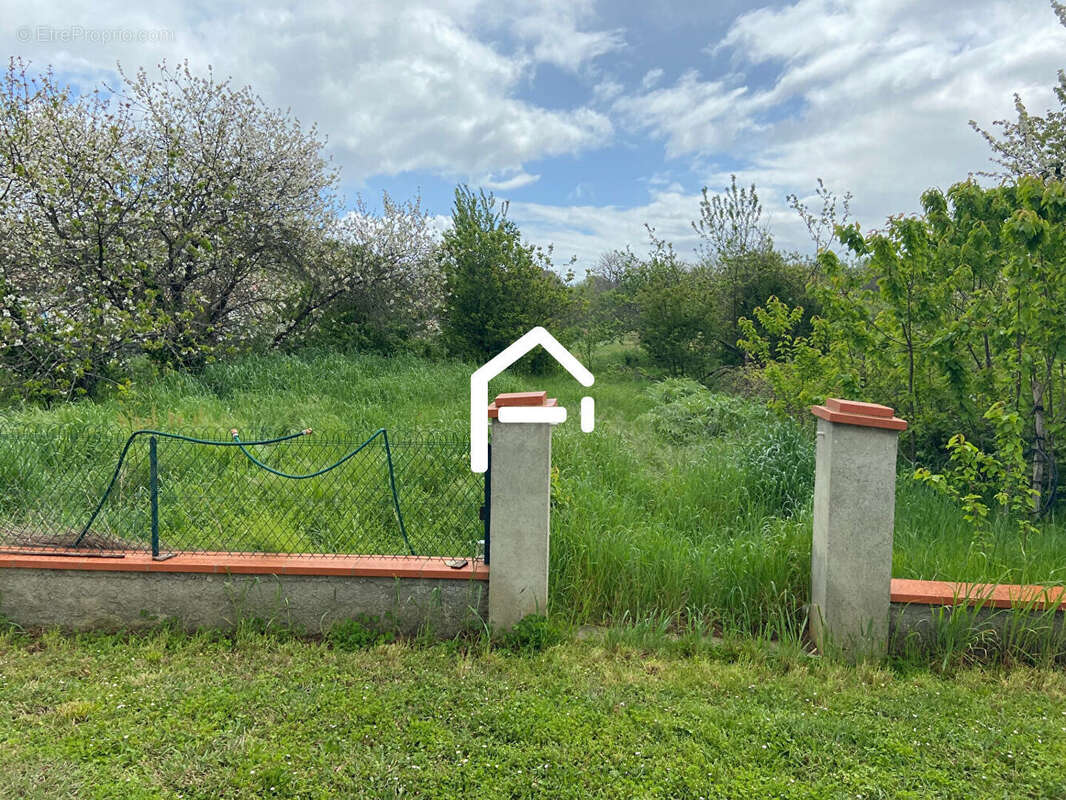 Terrain à SAINT-HILAIRE