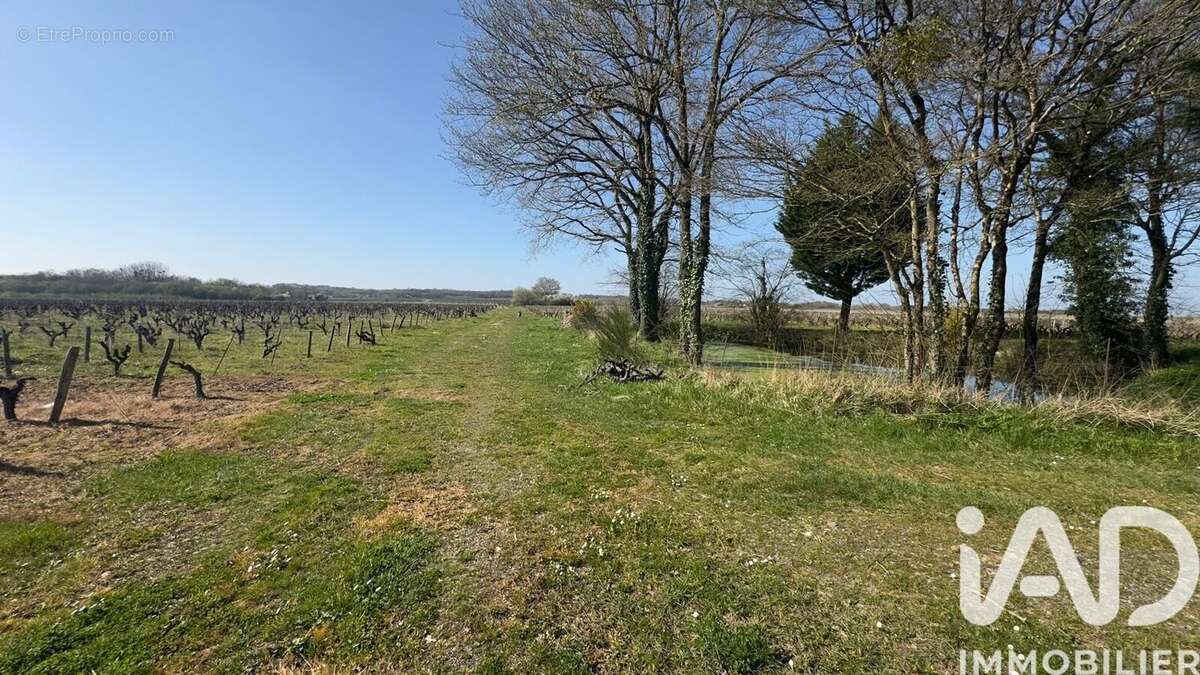 Photo 3 - Autre à MONNIERES