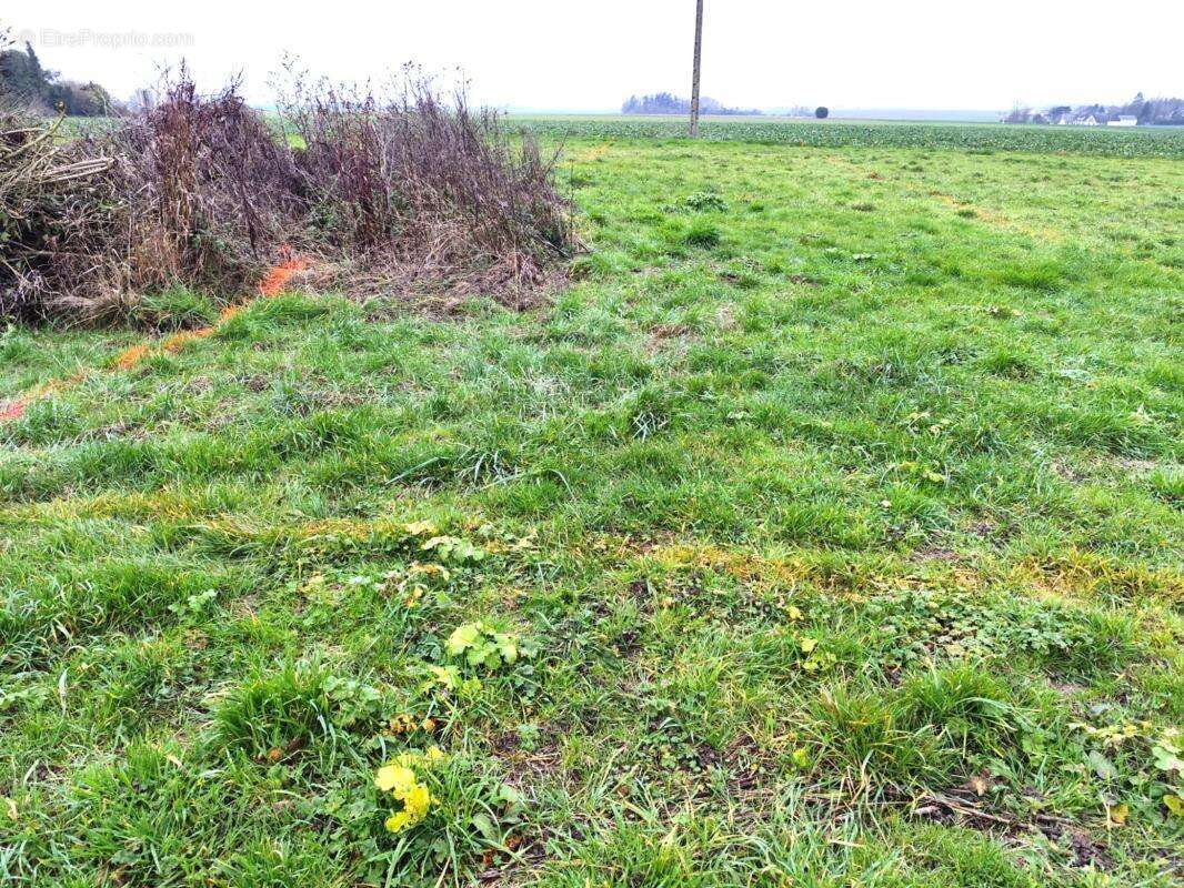 Commerce à CHARTRES