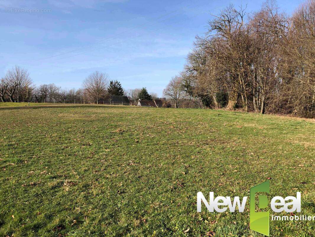 TERRAIN constructible de env 2 647 m2 - photo 2