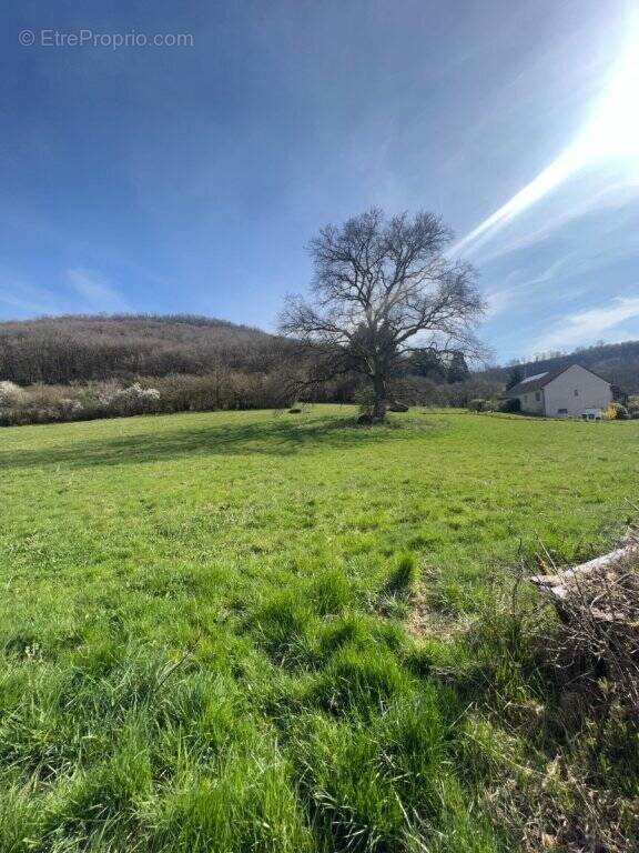 Terrain à LE CREUSOT
