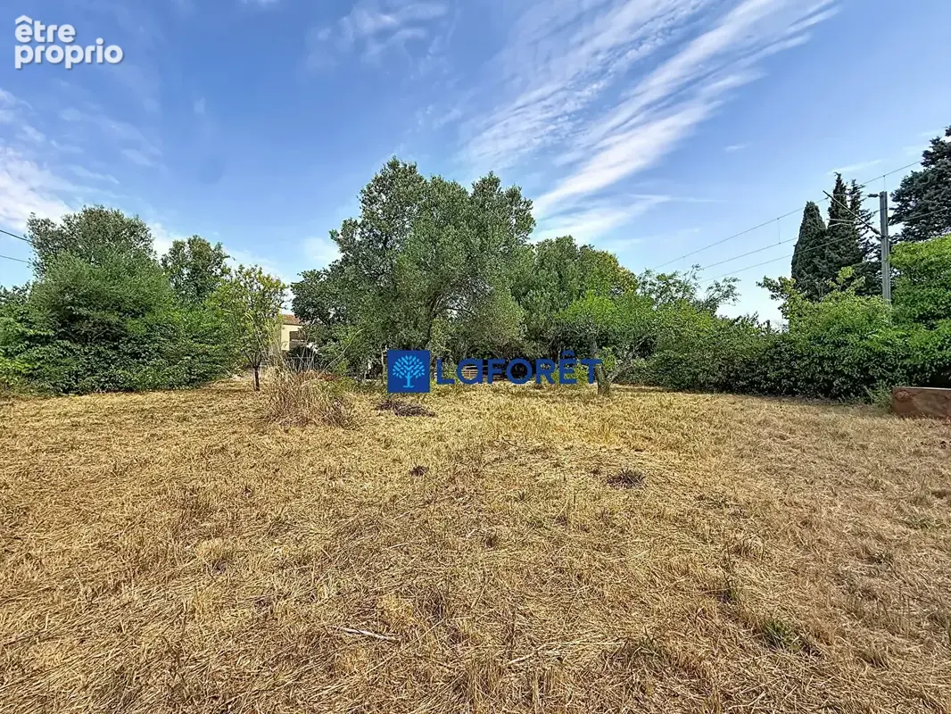 La Crau - Maison - photo 6