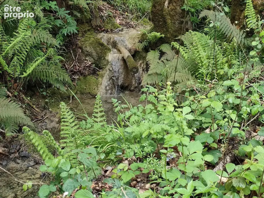 Exceptionnel !!! Ensemble immobilier sur 93 HA de terres avec ruisseau , sources ... - photo 16