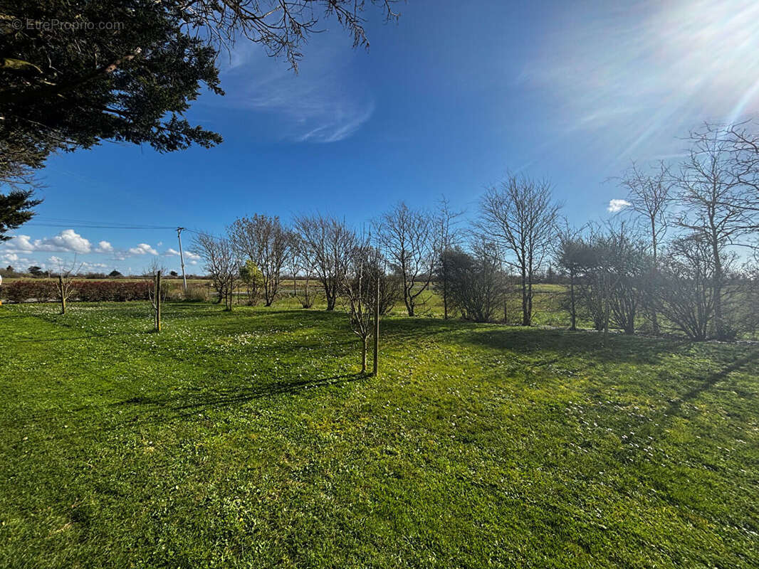 Maison à SALLERTAINE