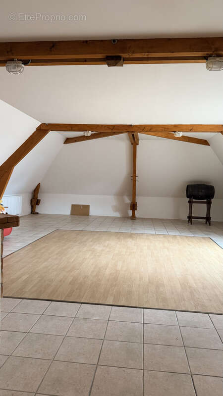 Achat St Lye proche Troyes maison 307m2  une dépendance 100 m2 jardin arboré 4135 m2 - photo 11
